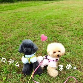 L(^.^)