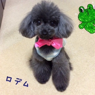 g~Oday(^.^)