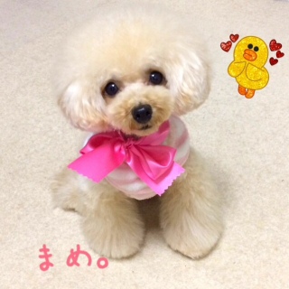 g~Oday(^.^)