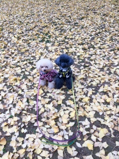 U(^.^)