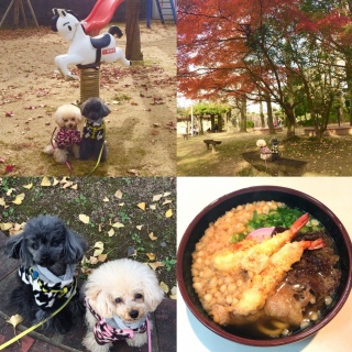(^.^)