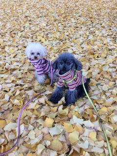 (^.^)