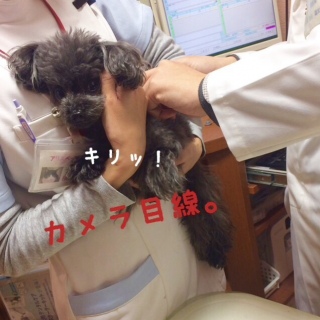 ybgNjbN(^.^)