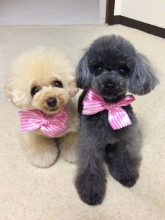 g~Oday(^.^)