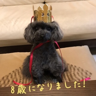 a(^.^)