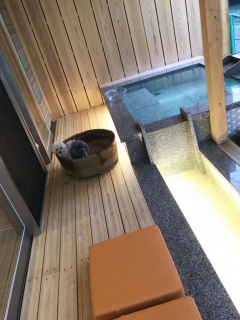 炢ŉ(^.^)
